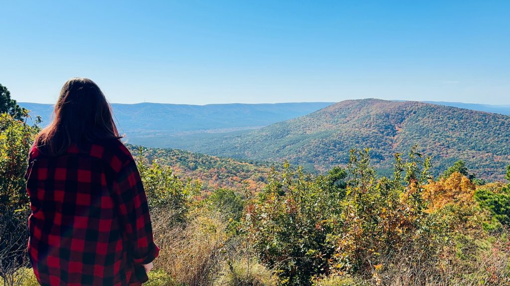 dallas to oklahoma road trip. Talihina Scenic Byway Overlook