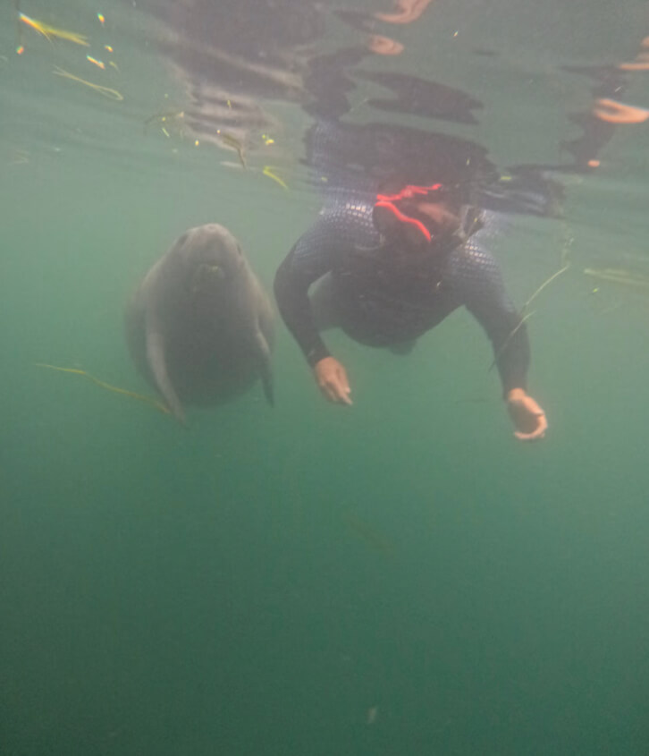 crystal river florida